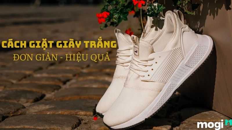 10+ Cách Giặt Giày Trắng Từ Ố Vàng Thành Như Mới Cực Dễ