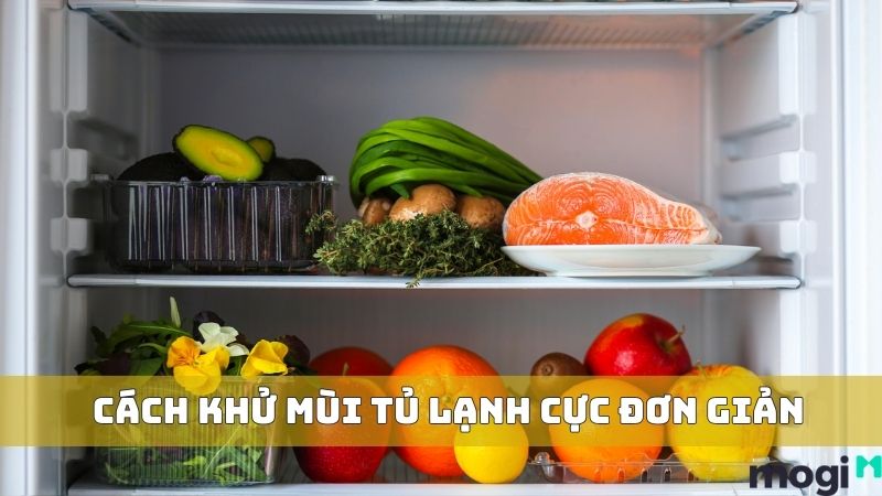 14+ Cách Khử Mùi Tủ Lạnh Tại Nhà Cực Đơn Giản Mà Hiệu Quả