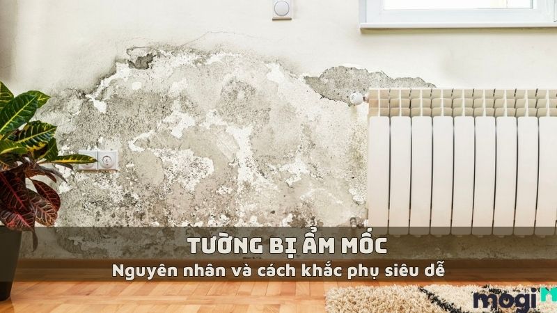 6+ Cách Xử Lý Tường Bị Ẩm Mốc Siêu Dễ Ai Cũng Làm Được