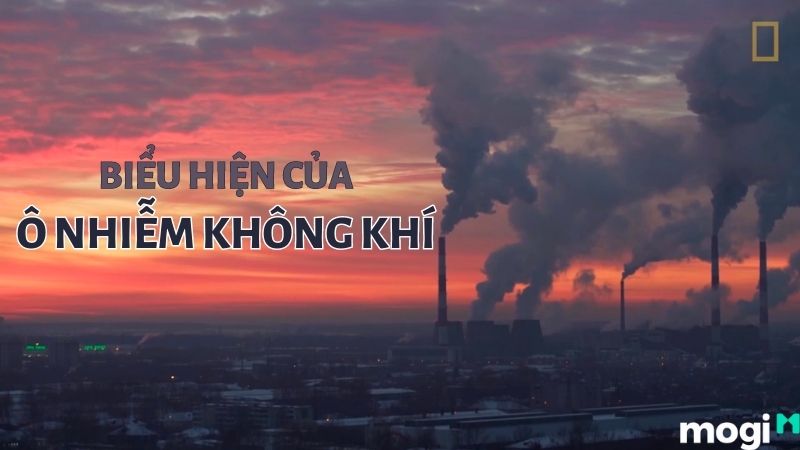 Biểu Hiện Ô Nhiễm Không Khí Là Gì? Nguyên Nhân Và Cách Khắc Phục