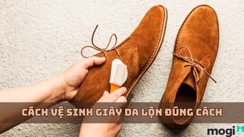 Cách Vệ Sinh Giày Da Lộn Đúng Cách, Không Gây Hư Hại