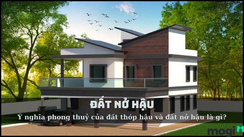 Đất Nở Hậu Là Gì? Ý Nghĩa Phong Thủy Của Dáng Đất “May Mắn”