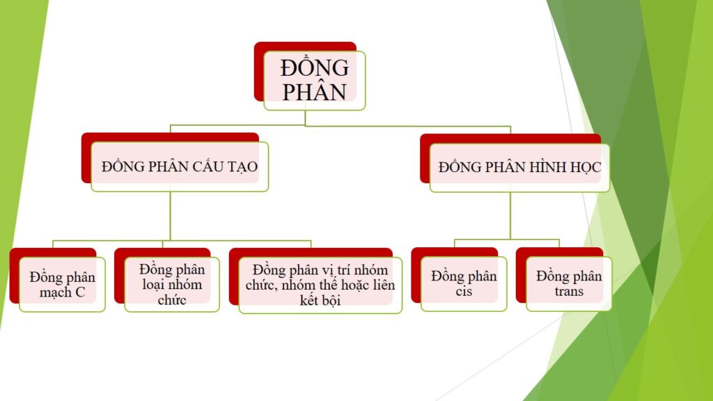 Đồng phân là gì? Có mấy loại đồng phân? Cách viết đồng phân?