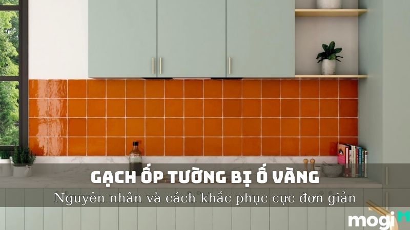 Gạch Ốp Tường Bị Ố Vàng Không Còn Là Nỗi Lo Với 5+ Cách Đơn Giản