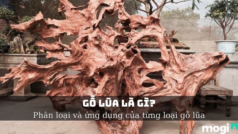 Gỗ Lũa Là Gì? Phân Loại Và Ứng Dụng Của Gỗ Lũa Hiện Nay