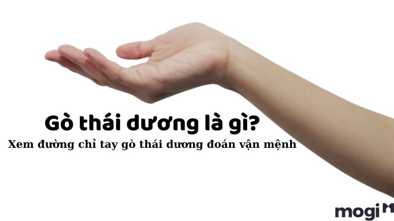 Gò Thái Dương Là Gì? Cách Xem Và Luận Giải Tử Vi Ý Nghĩa