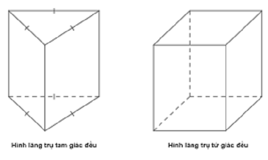 Hình lăng trụ là gì? Lăng trụ đều là gì? Tính chất và bài tập?