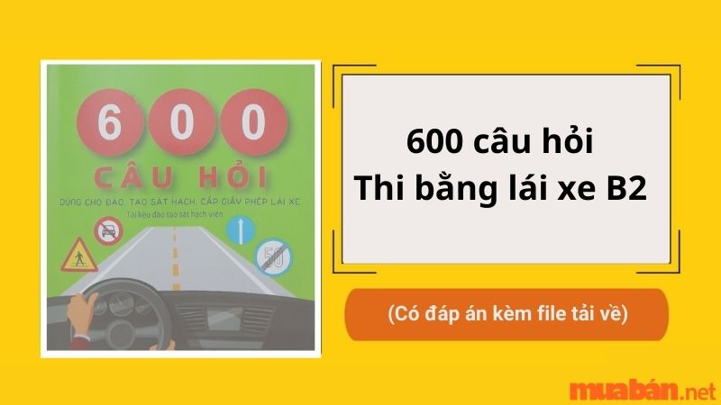 Trọn bộ 600 câu hỏi thi bằng lái xe B2 kèm file tải về (có đáp án)