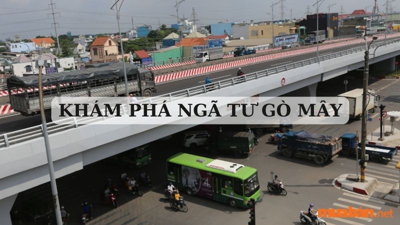 Vị trí và các tuyến xe buýt trong khu vực