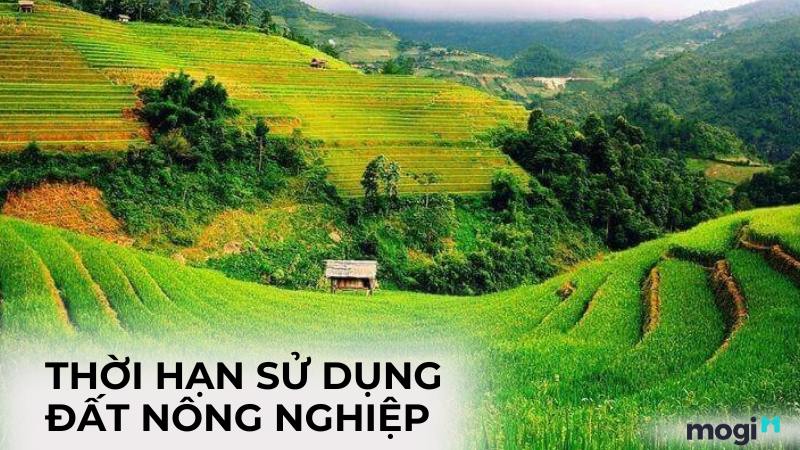 Chi Tiết Thời Hạn Sử Dụng đất Nông Nghiệp Mới Nhất 2024