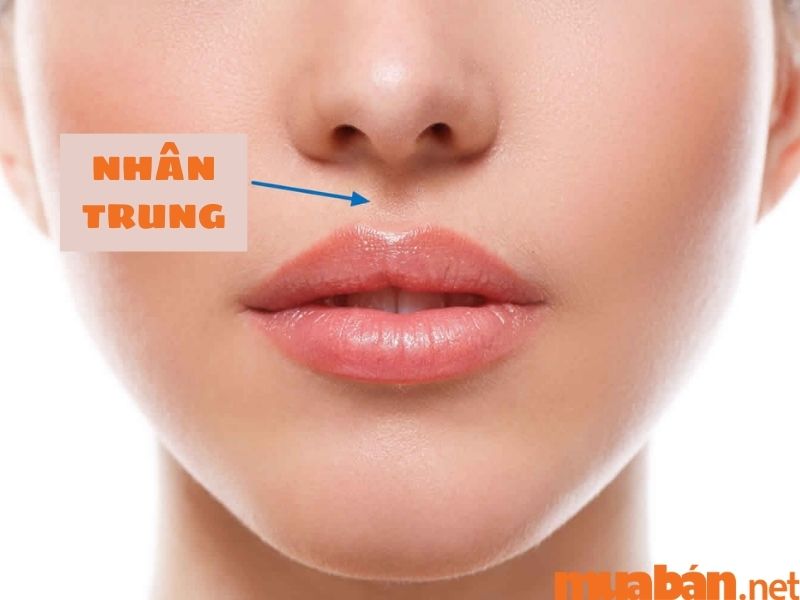 Nhân trung là gì? Ý nghĩa của nhân trung trong tướng số