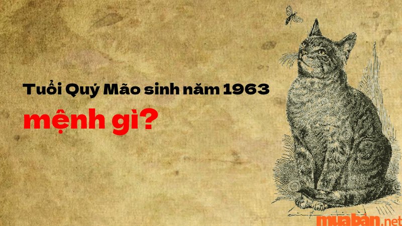 Sinh Năm 1963 Mệnh Gì? Quý Mão 1963 Hợp Tuổi Gì, Màu Nào?