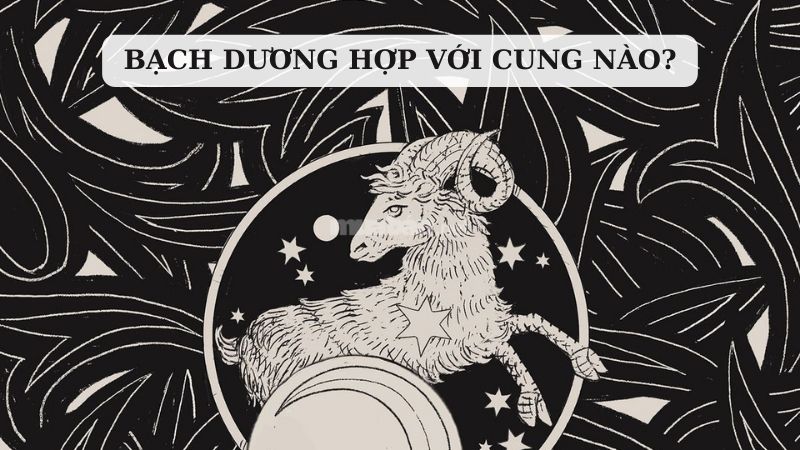 Bạch Dương hợp với cung nào trong tình yêu, tình bạn?