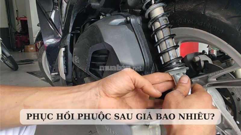 Phục hồi phuộc sau giá bao nhiêu? Dấu hiệu cần thay phuộc