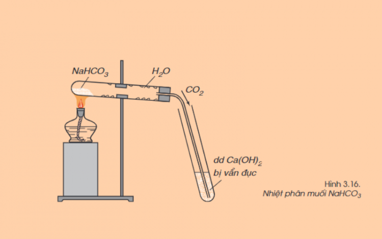 Nhiệt phân muối cacbonat và hidrocacbonat có đáp án