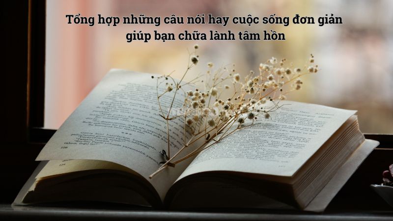 Tổng hợp những câu nói hay cuộc sống đơn giản giúp bạn chữa lành tâm hồn